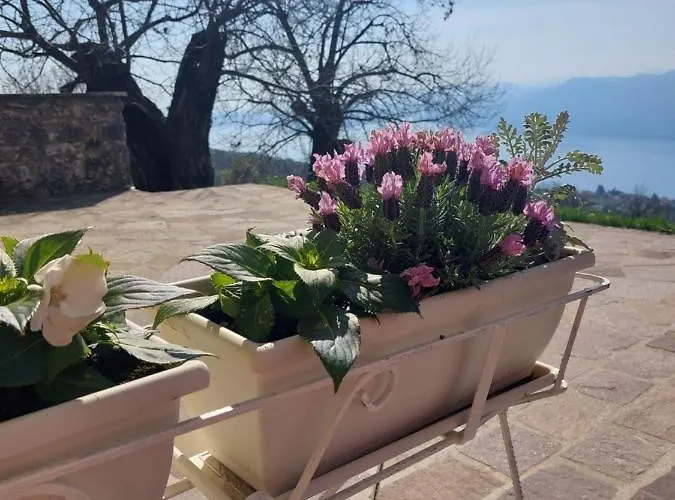 Casa Relax شقة *